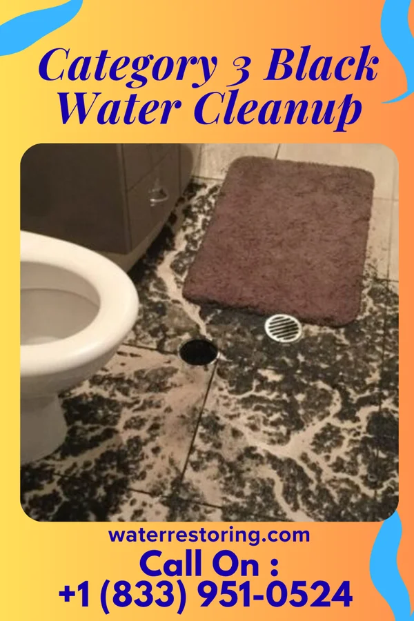 Category 3 Black Water Cleanup in Olathe, KS