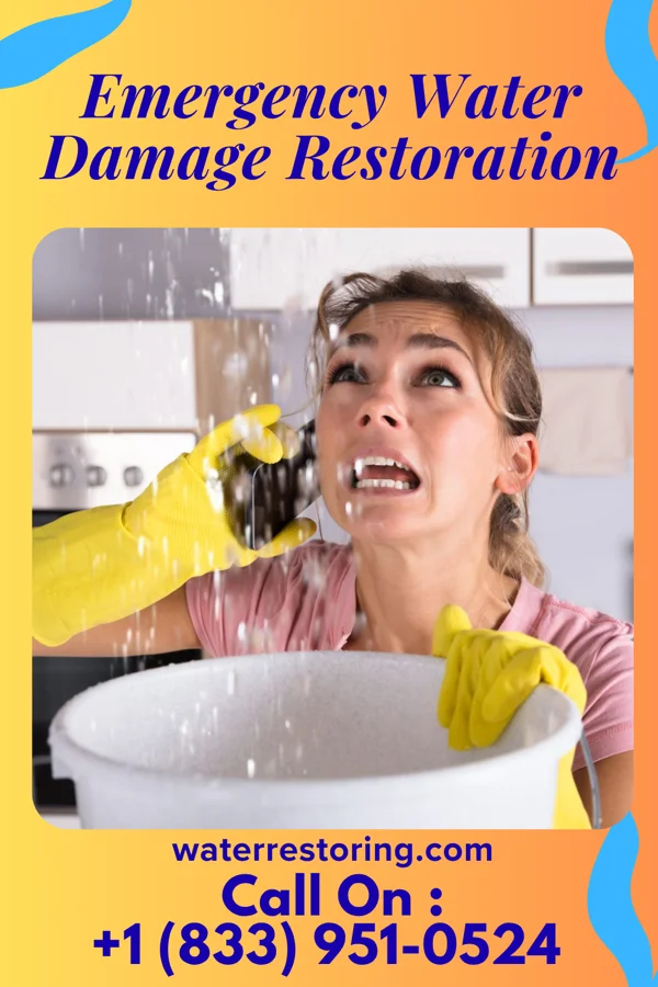 Emergency Water Damage Restoration in Olathe, KS